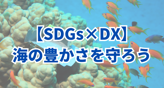 【SDGs×DX】海洋汚染問題を解決するDX｜目標14「海の豊かさを守ろう」2つの課題と4つの事例
