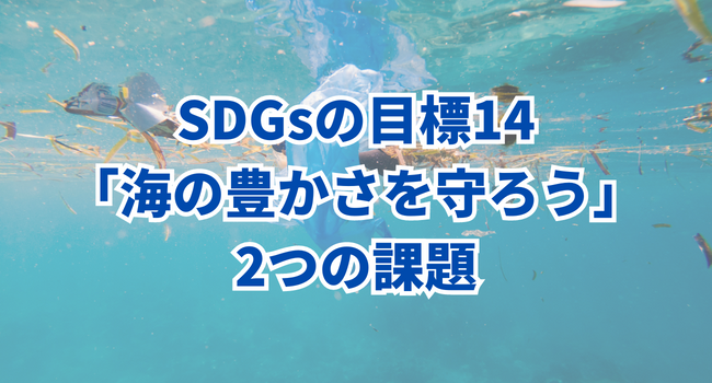 SDGsの目標14「海の豊かさを守ろう」2つの課題