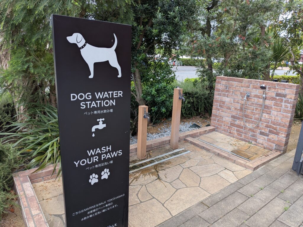 みなとみらいの犬用水飲み場