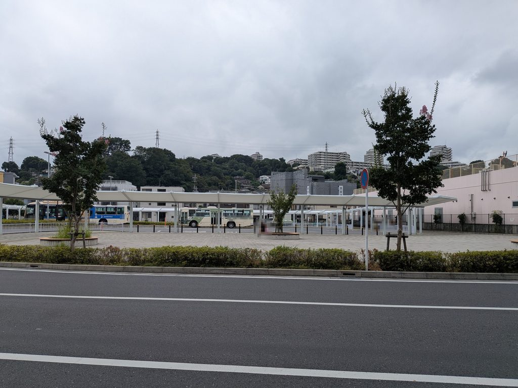 道路の向こうに、白い屋根のかかった乗り場があり、塗装の違う複数のバスが停まっている。手前には植え込みと2本の街路樹があり、奥には丘と住宅が見える